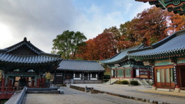 산사를 찾아서 <9> 하동 칠불사