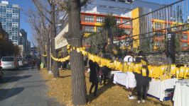 [영상] 전포 ‘낙엽길 축제’ 가보니...엇갈린 반응