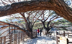 생명의 숲을 거닐다 <3> 법기수원지