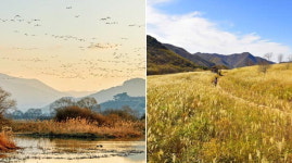 김해 화포천·밀양 사자평 습지, 자연 활용 생태관광지 만든다