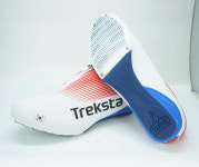 트렉스타 봅슬레이화 평창서 뛴다