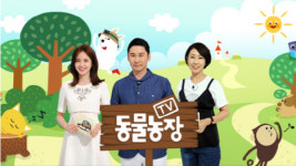 ‘동물농장’8일 예고-11남매 블랙탄 견생의 기로/아빠만 사랑한 앵무새/꼬리 무는 개