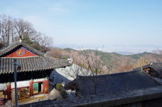 산사를 찾아서 <23> 김해 장유사