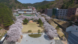 와이즈유 ‘정보공시 운영협력대학’ 3년 연속 선정
