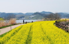 걷고 싶은 길 <47> 주남저수지 탐방 둘레길