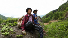 ‘다큐공감’ 지리산 어머니의 고사리 별곡…하동군 화개면 범왕마을의 봄