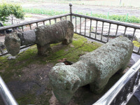 마을 수호하는 숲과 돌말 그리고 공룡