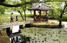 생명의 숲을 거닐다  경남 고성 장산숲