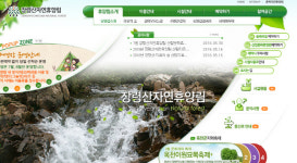 장령산 자연휴양림…숙박 시설 숲속의 집부터 계곡썰매장까지 다채로운 시설 구비!