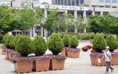 오거돈 불통 시정 끝낸다…시청 앞 광장 대형 화분 철거 결정
