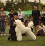 [펫 칼럼] 국가차원 반려인 전문교육 필요
