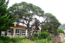 이병철·구인회 배출 진주, 한국 기업가정신 수도로