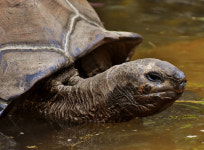 ‘구지가’가 뭐길래… 고대가요 설명하다 성희롱 징계, 억울함 토로