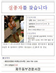‘제주 실종 여성’ 누리꾼 실족사 아닌 범죄 가능성 높다 주장, 이유는?