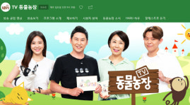 SBS TV 동물농장…데자뷰 냥이·너가 왜 거기서 나와, 일요일 시청자 눈길 사로잡을까?