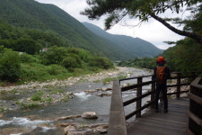 근교산&그너머 <1090> 양산 배내천 트레킹 길