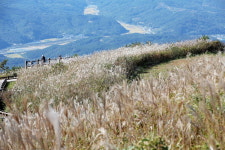 의령, 풍경화 같은 자굴산 억새군락