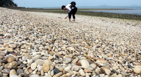 실검 등장 송이도 어떤 곳? #몽돌해변#갯벌걷기#노을