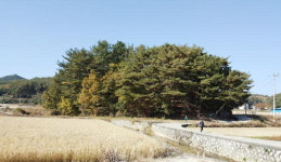 걷고 싶은 길 <59> 사천 은사 선비길