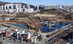 부산을 보행친화 도시로 <2> 서면 롯데百~부산시민공원