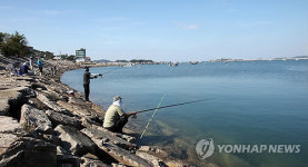 삼길포항 위치는 어디? 우럭 등 각종 생선 회 뜨는 모습 직접 볼수 있어