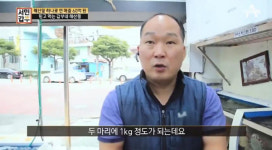 서민갑부 해산물 유통으로 연매출 60억? 거제 삼삼해물 1인 가구 세트도 인기
