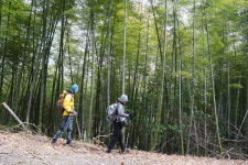 근교산&그너머 <1112> 거제 맹종죽순 체험길