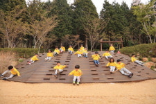 부산 엄광산·구덕산 유아숲 체험장 개장