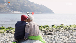 생방송 오늘저녁 맛집 어디? 수비드 닭볶음탕·쑥 삼계탕·오모리생바지락손칼국수·미가연