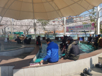 창원 의창구, 오감만족(足) 마금산온천 족욕체험장 개장