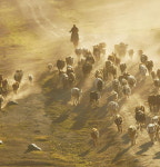 김정현의 중국인 이야기 <8> 하, 조밀한 지배체제의 타락