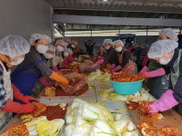 원불교 부산울산교구 봉공회, ‘은혜의 김치 나눔’ 행사 진행