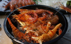 탱탱 달달한 독도새우…트럼프 만찬 오른 그 맛 여기 있소