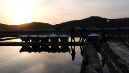 ‘동행’ 소금밭 삼남매 - 하의도에 핀 소금꽃