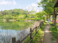 걷고 싶은 길 <68> 울산 중구 성안옛길