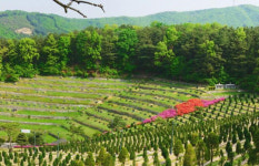 용인로뎀파크 눈길… 가수 김건모 아버지 장지로