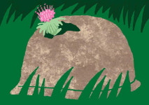 [이 한편의 시조] 휴전선 바람소리 - DMZ 을지전망대에서 /김덕남