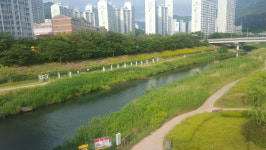 부산 북구 ‘제1회 2019 생물다양성 탐사’ 행사 개최
