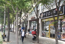 보행로 한가운데 떡하니…민원 속출 가로수 어찌할꼬