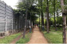 부산 북구, 경부선 철로변 ‘기찻길 숲속 힐링 산책로’ 재단장