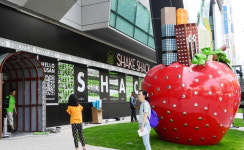 서면 새 핫플 ‘삼정타워’(옛 피에스타) 5일 문 연다