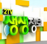 ‘2TV 생생정보’ 냉짬뽕 하남 꽃누리·청주 해가든 푸짐한 해물찜·7900원 삼계탕 고양 육삿갓·3000원 비빔국수 2000원 멸치국수 강동구... 