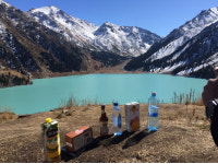 카자흐스탄 여행 ‘천해의 자연관광’ 어디길래…인천서 비행 시간은?