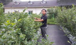 귀촌 <19> 양산 블루베리 농장 신병길 대표