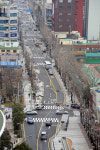 부산진구, 동천로 대중교통전용지구 일시 해제