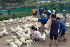 방학 돌봄 지원 ‘슈퍼 방학 프로그램’운영을 위한 부산 남구「2019년 와글와글 농장체험」실시