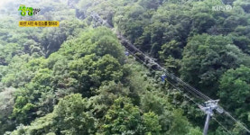 발왕산 케이블카 타고 손쉽게 정상까지…케이블카 가격은?