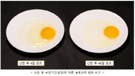 신선란 알고 먹자…농진청, 구구데이 달걀 정보 소개