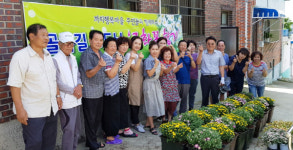 사하구 괴정2동 까치행복마을 골목길 가드닝 ‘국화꽃 향기’ 행사