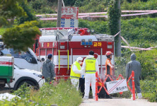 인천 강화군 돼지 농장서도 아프리카돼지열병 의심 사례 발견